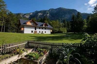 The Woodland Nook Apartments Bohinj - One Bed...