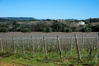Villa Bibbona con piscina