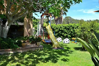 Villa in Binissalem mit Pool und Weinbergen