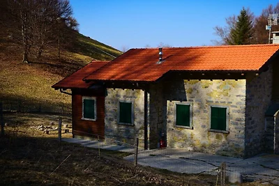 Il Faggio - P.IVA