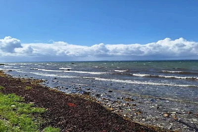 5 Personen Ferienhaus in Tranekær-By Traum