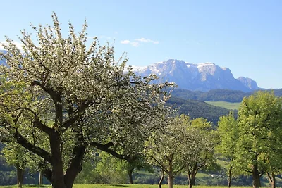 Tenuta del castello di Gravetsch