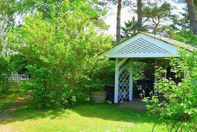 Ferienhaus in Güster mit Schwimmbecken