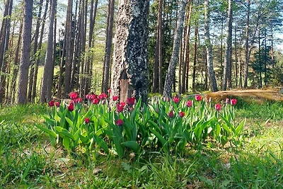 5 Personen Ferienhaus in Knutby