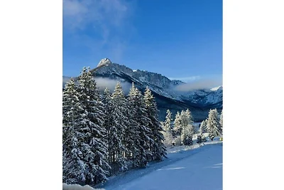 Schuster's Alpenpanorama