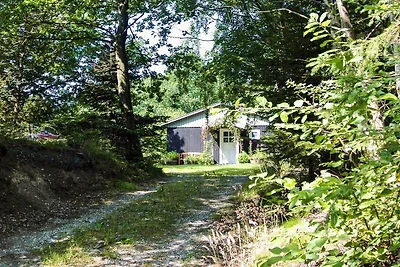 4 Personen Ferienhaus in Aars-By Traum