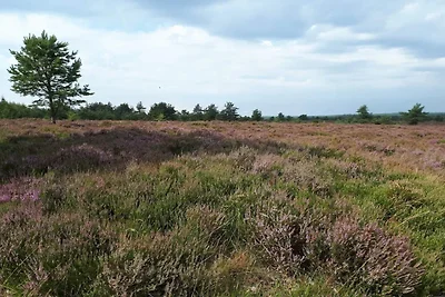 6 Personen Ferienhaus in Hovborg-By Traum