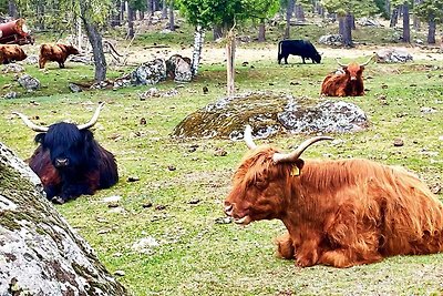 3 Personen Ferienhaus in Berga