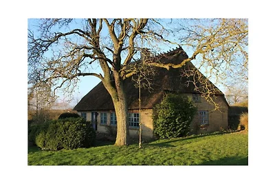 Komfortables Landhaus mit Reetdach