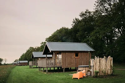 Gemütliche Lodge mit Whirlpool in Drenthe