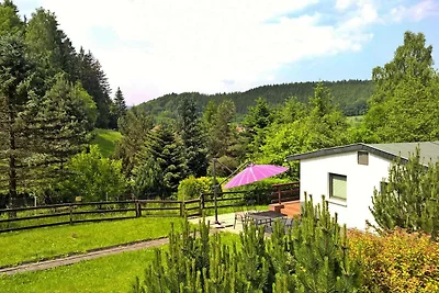Huis, Steinbach-Hallenberg