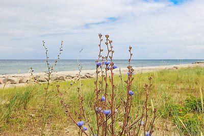 Modernes Ferienhaus in Otterup am Strand