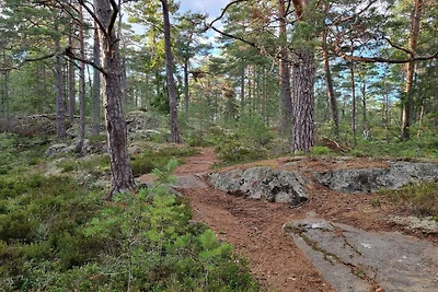 4 persone case ad INGARÖ