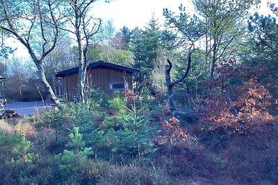 4 Sterne Ferienhaus in Ålbæk