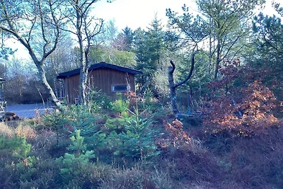 4 Sterne Ferienhaus in Ålbæk