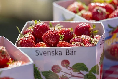 5 Personen Ferienhaus in ÅSEDA