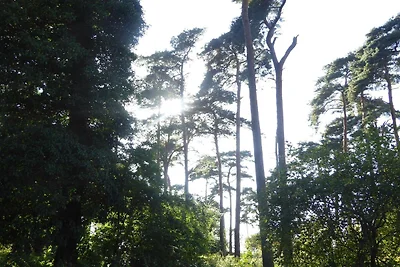 4 Personen Ferienhaus in Bogense-By Traum