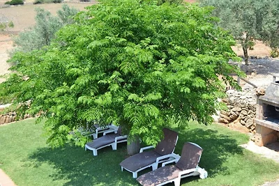 Finca mit 1 Schlafzimmer