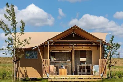 Glamping-Zelt in der Kempen für 4 Personen