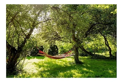 Ferienwohnung mit 2 Schlafzimmer