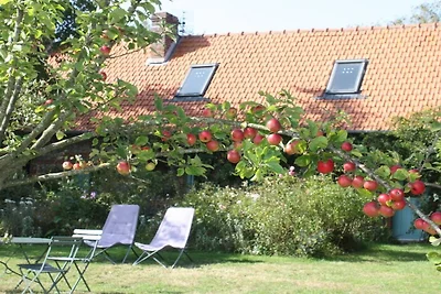 La Petite Maison