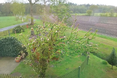 "Granja de verduras Röben"