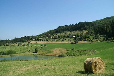 Spazioso agriturismo con terrazza a Dicomano