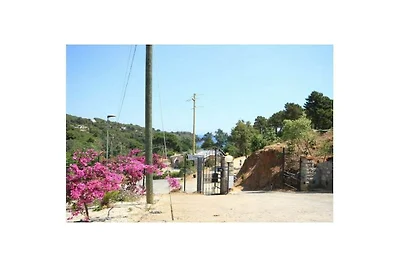 Wohnung in Capoliveri mit Terrasse