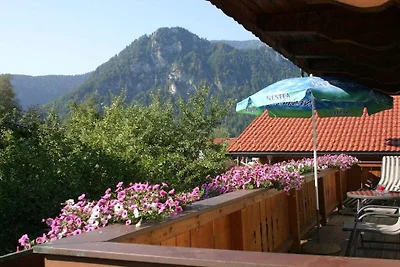 Bäckeralm en la casa de huéspedes Fegg
