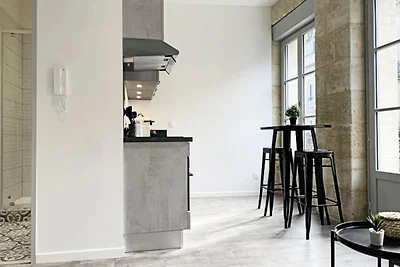 Super Appartement Clim Et Pierre Bordelaise