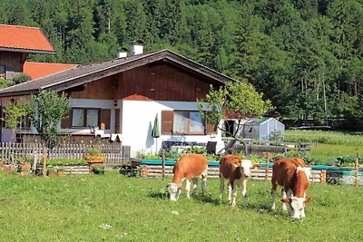 Dans le paradis montagneux de la vallée de...
