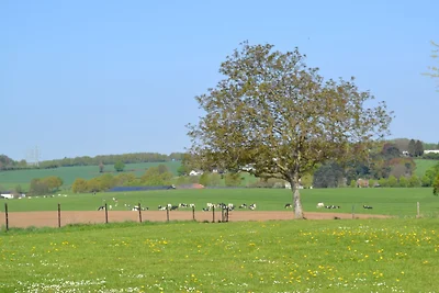 Attraktive Ferienwohnung in Süd-Limburg