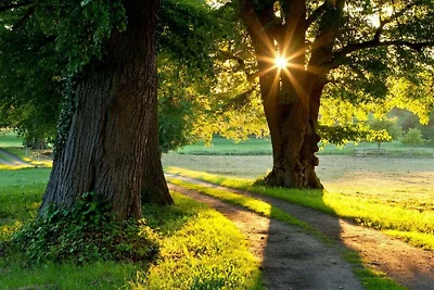 1-Raum-Apartment im Landhaus Rügeband