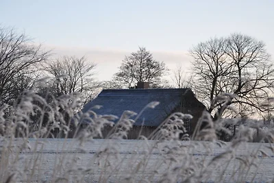 Reetdachkate Sillenserwisch