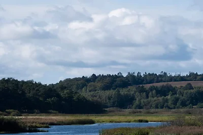 6 persoons vakantie huis in Silkeborg-By...