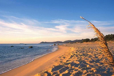 Casa vacanze a Costa Rei con terrazza