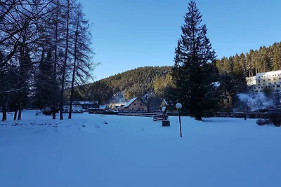Ferienwohnung im Oberharz in Wildemann