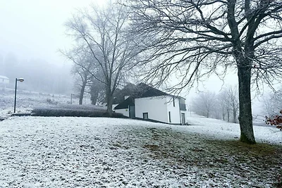 Familienferienhaus im Ferienpark Hambachtal