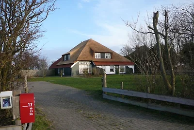 Gemütliche Ferienwohnung auf Texel