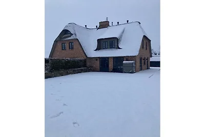 Objekt 77 || Nieblum