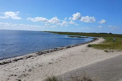 Luxus-Ruckzug in Romo -- By Traum...