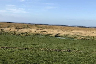 Huus Naturstrand am Diek