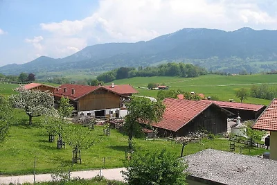 Ferienwohnung mit 1 Schlafzimmer