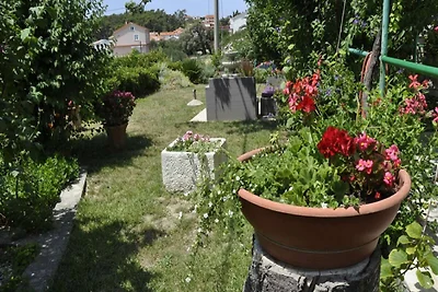 Apartments Profaca - One Bedroom Apartment wi...