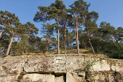 4 Sterne Ferienhaus in tånumshede-By Traum