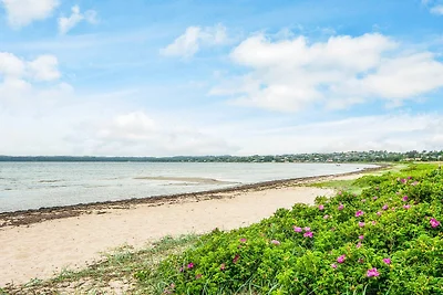 5 Sterne Ferienhaus in Ebeltoft