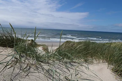 18 Personen Ferienhaus in Ringkøbing