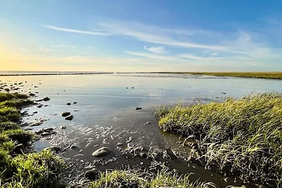 2 Personen Ferienhaus in Højer