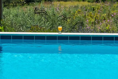 Apartments Villa Harmonia - Comfort One-Bedro...