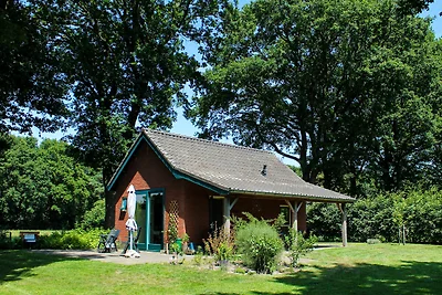 Ferienhaus in Schijf mit Garten
